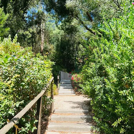 Beau Soleil Yourhosthelper Le Lavandou